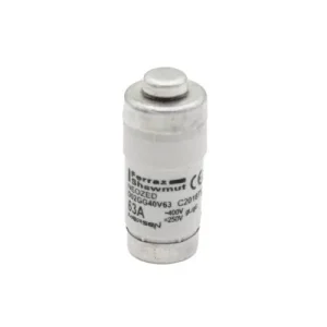 FUSIBLE NEOZED D02 50A GL-GG No Te Lo Pierdas