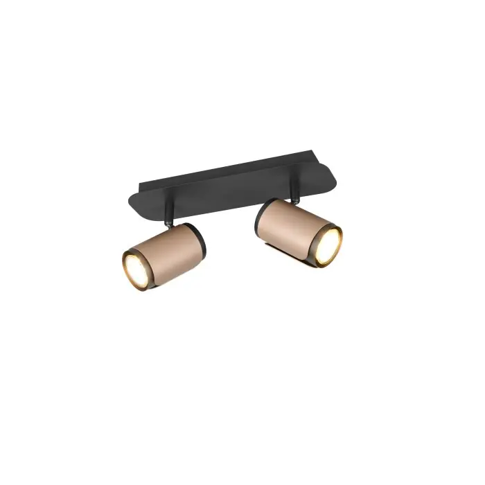 Novedad Lámparas Trio Gillan Spot techo Marrón, 2 luces
