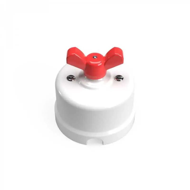 Conmutador de porcelana blanco con lazo de colores Ordena Ya