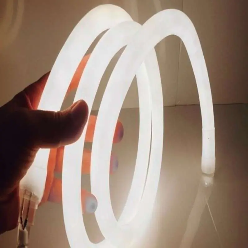 20 mts neón LED directo a 220V con 270º de abertura regulable y para uso exterior Ordena Ya