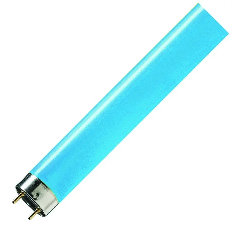 Philips | Tubo fluorescente | Accesorio G13 | 28mm | 36W Solo Hoy