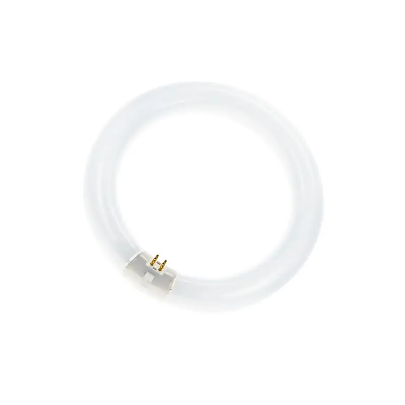 T9 Circline | 32W | G10Q | 840 Blanco frío No Te Lo Pierdas