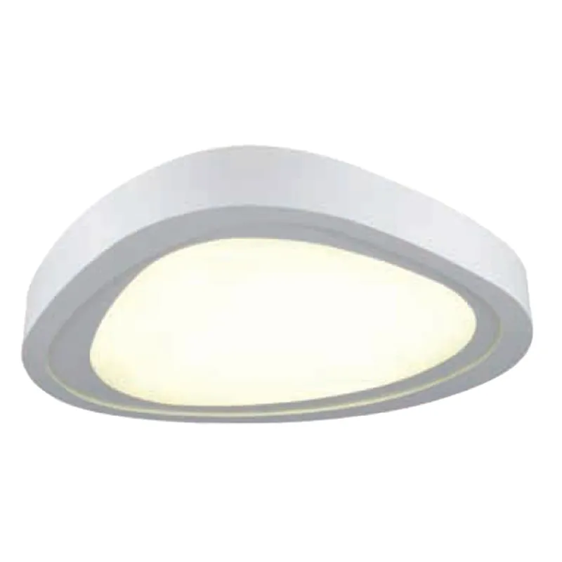Envío Exprés Plafonnier LED (30W)