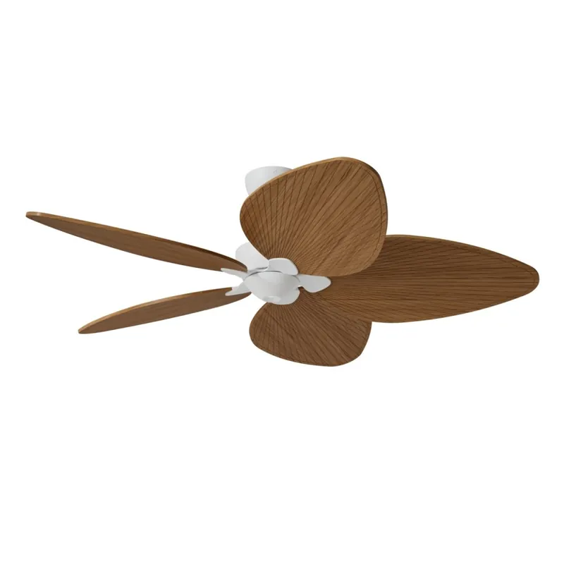 Compra Ahora Ventilador de techo LED Alma L 5 Aspas CCT Dim (6W)